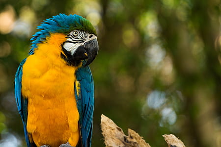 Zoo Parque Itatiba - Sp - Brasil thumbnail