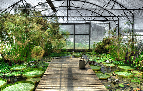 inside of greenhouse thumbnail