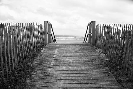 Grayscale Photography of Dock thumbnail