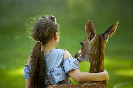 Girl Wearing Blue Top With her hand around a deer thumbnail