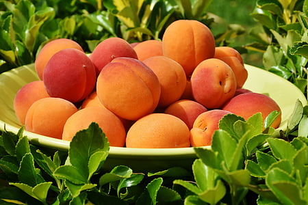 focused photo of fruits on plate thumbnail