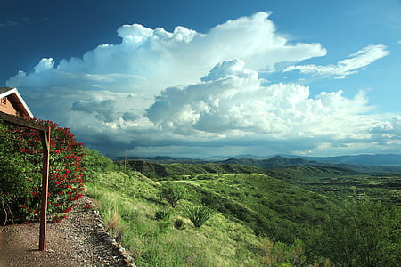 View of Green Grass Field thumbnail