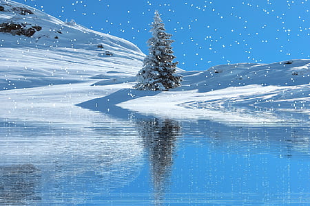 green pine tree at the middle of snow cap field thumbnail