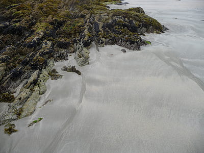 beach, sand, shore, moss thumbnail