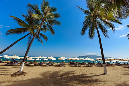 white patio umbrella near ocean thumbnail