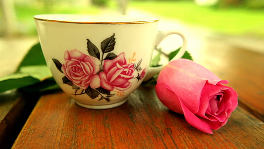 white and pink floral ceramic teacup beside pink rose thumbnail
