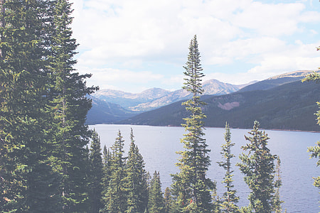 green tall trees near on the lake with overlooking mountain during daytime thumbnail