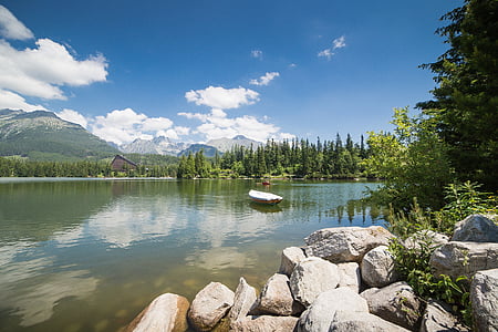 white rowboat on body of water near trees at daytime thumbnail