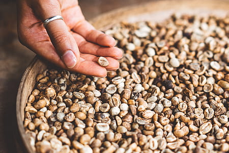 bowl of coffee beans thumbnail