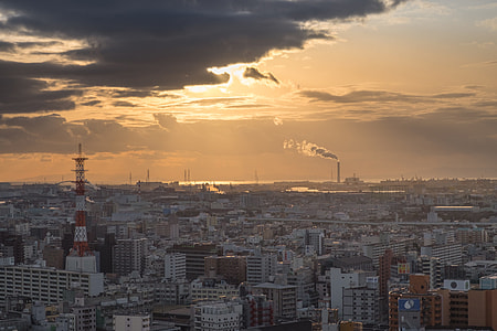 birds eye photography of high rise building thumbnail