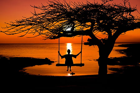 person on swing silhouette thumbnail