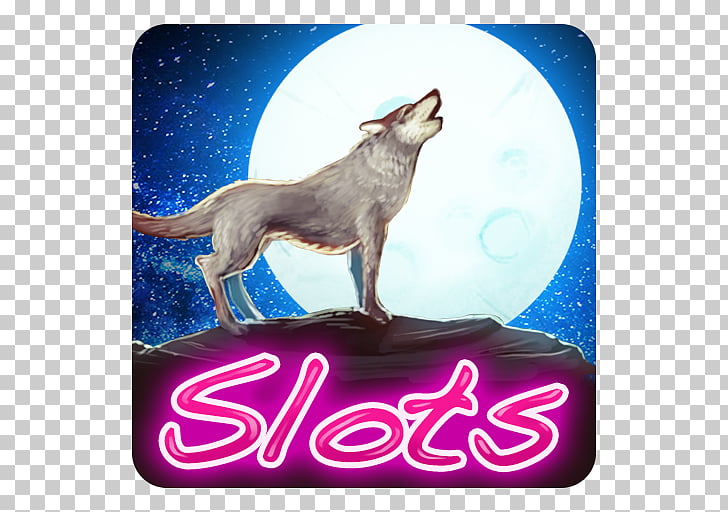 la dolce vita Slot Big Win