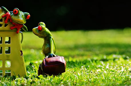 two green frog ceramic figurines on green grass thumbnail