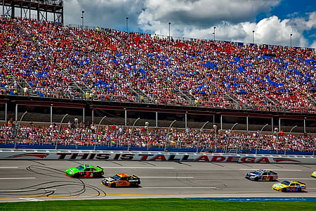 race cars in field thumbnail