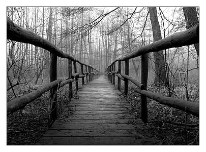 grayscale photo of a wooden bridge in the middle of woods thumbnail