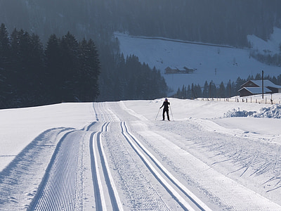 person holding ski poles while walking on snow during daytime thumbnail