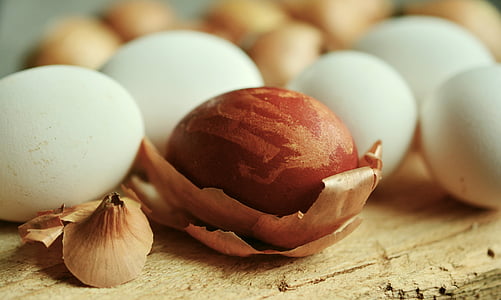 brown egg on brown wood shavings on brown surface thumbnail