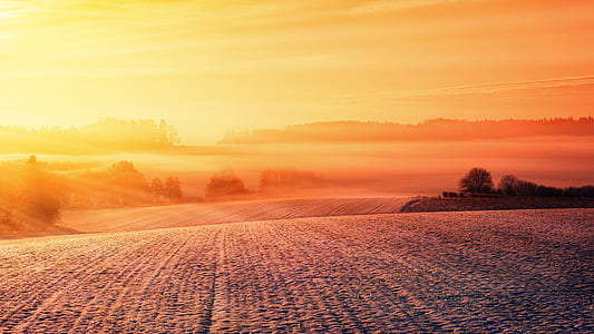 sunlight over field thumbnail