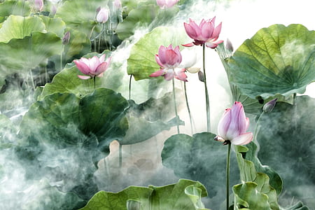 bloomed waterlily flowers thumbnail