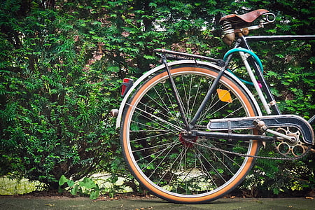 white and black bike near plants thumbnail