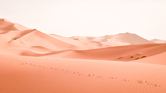 footsteps traced on desert thumbnail