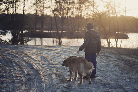 cold, snow, road, sunset thumbnail