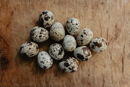 Quail eggs thumbnail