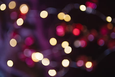 Burgundy Christmas Decorations thumbnail