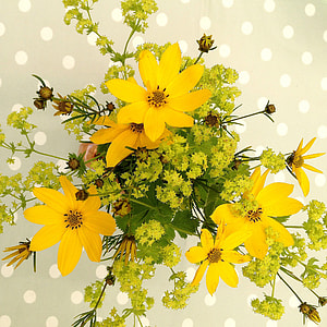 yellow petaled flowers at bloom thumbnail