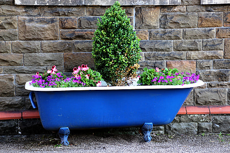 assorted-color flowers on blue bathtub near wall at daytime thumbnail