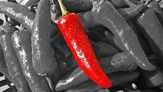 red chili selective photo thumbnail
