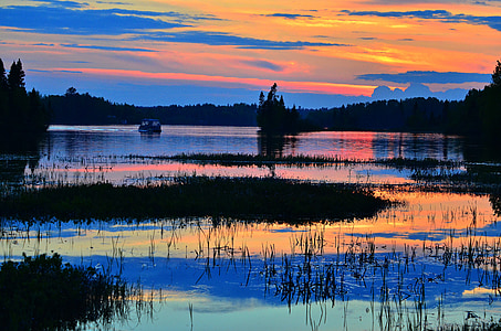 silhouette of grass and trees on body of water under golden hour thumbnail