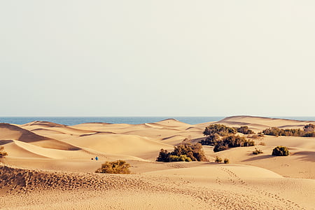 landscape photography of desert during daytime thumbnail