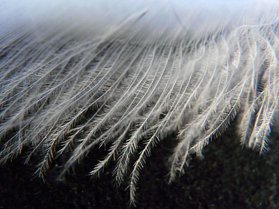close-up photo of white textile thumbnail
