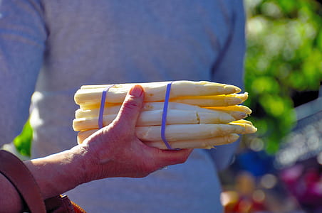 person holding white root crops pack during daytime thumbnail
