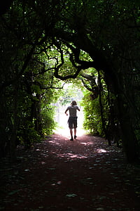 man walking through tree tunnel at daytime thumbnail
