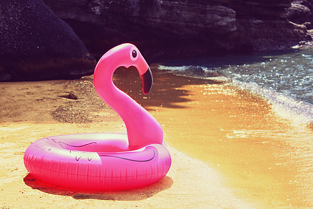 Flamingo floatie on seashore during daytime thumbnail