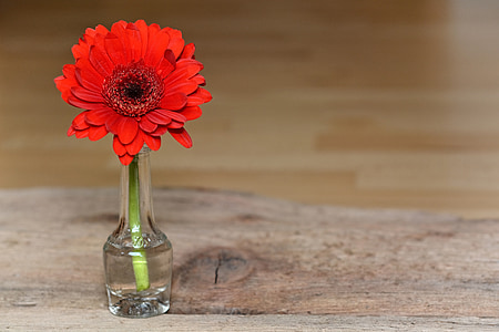 red flower on clear glass bottle thumbnail