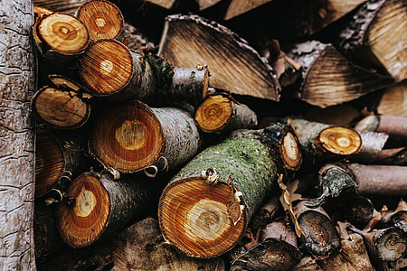 Wooden logs thumbnail