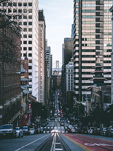 vehicles on road between high-rise buildings thumbnail