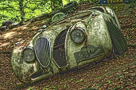 classic gray vehicle on green leaf plant thumbnail