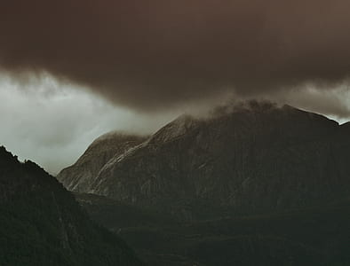 trees in mist thumbnail