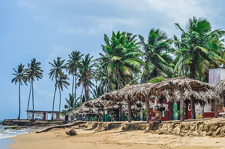 person sitting under nipa hut thumbnail