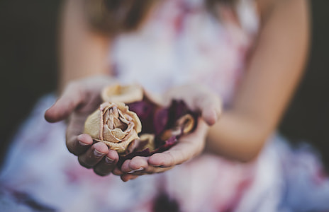 beige and purple flowers on woman's hand thumbnail