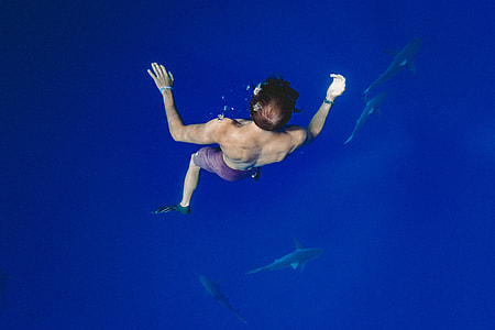 topless man wearing purple shorts in body of water near four black fishes \] thumbnail
