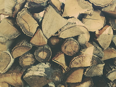 pile of firewood thumbnail