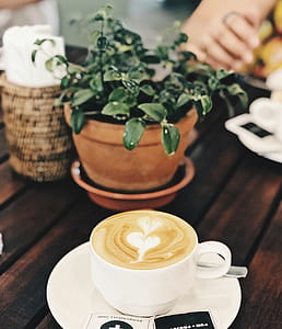 Green Leafed Plant Near Coffee Filled White Ceramic Cup thumbnail