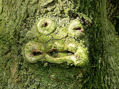 tree trunk with moss thumbnail