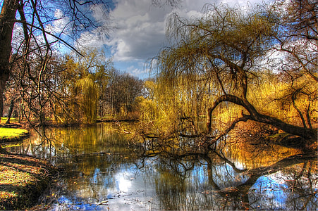 wide angle photo of body of water under cloudy sky thumbnail