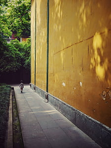 toddler walking near beige paint wall thumbnail